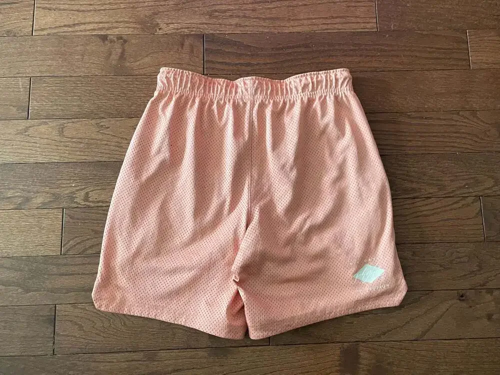 NWOT Air Jordan Flight Collection Pink Mesh Shorts Y2K XL Rare